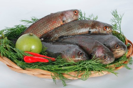 Cá rô đồng - Thực Phẩm EXP Việt Nam - Công Ty Cổ Phần Đầu Tư EXP Việt Nam